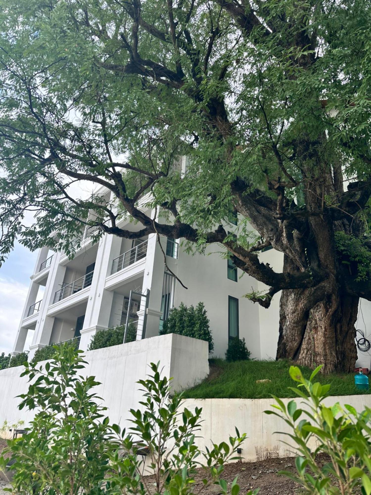 Sokview Residence Luang Prabang Ngoại thất bức ảnh